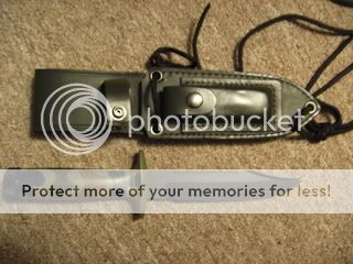 PICT0493.jpg