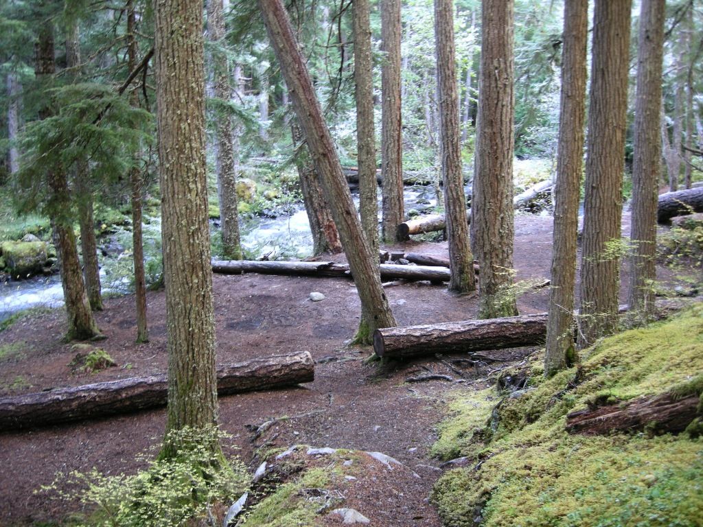 DSCN2504.jpg