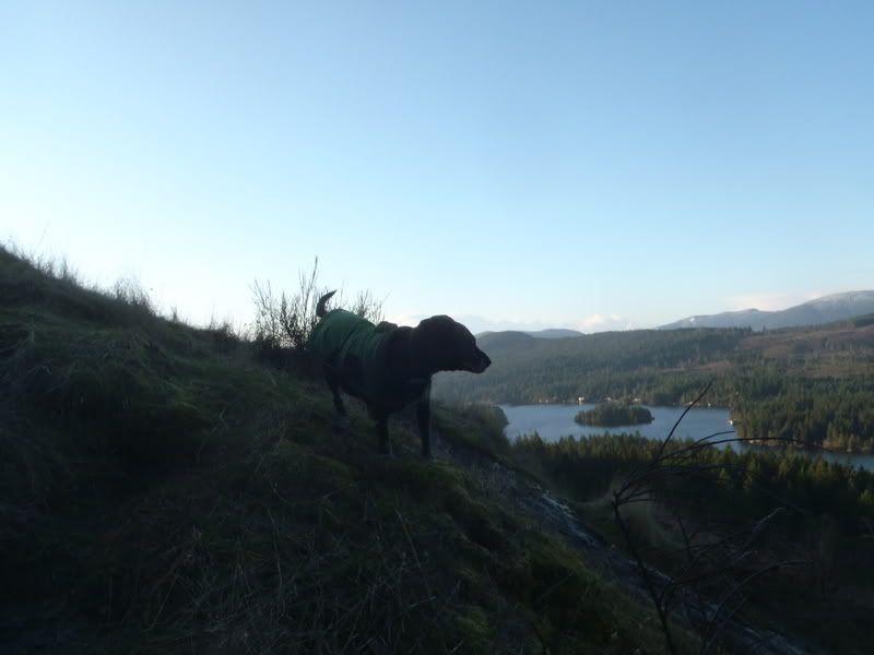 P1260010.jpg