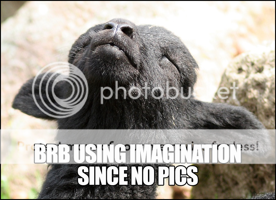 brb-using-imagination-since-no-pics.png