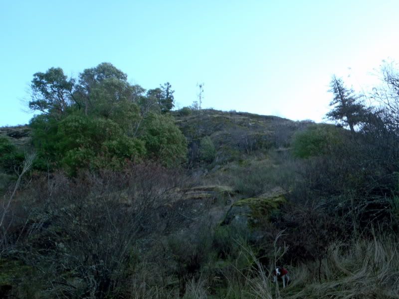 P1260009.jpg
