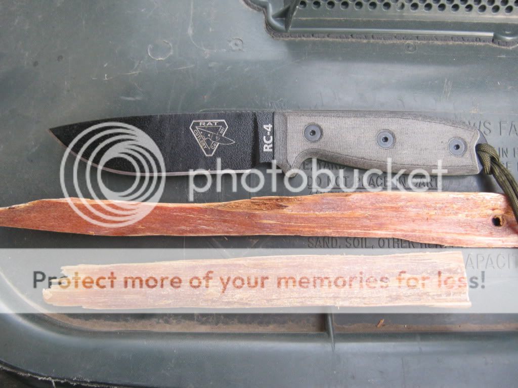 June192010017-1.jpg