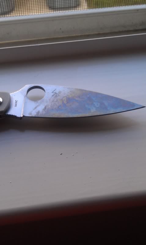 IMAG0021.jpg