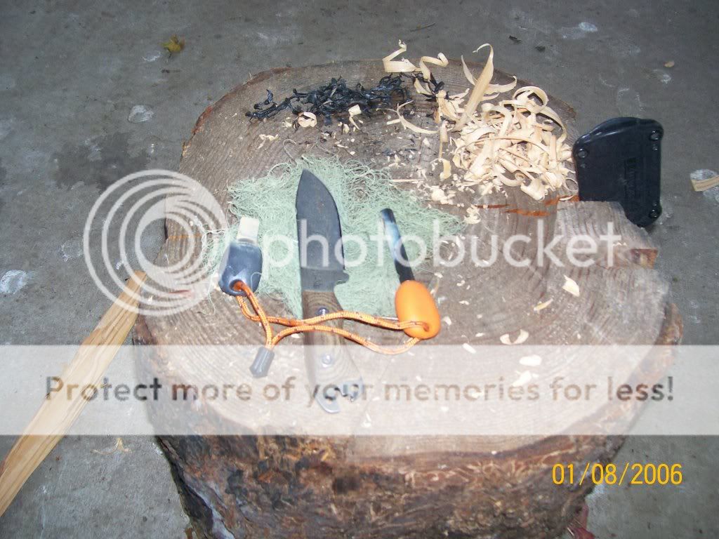 100_3749.jpg