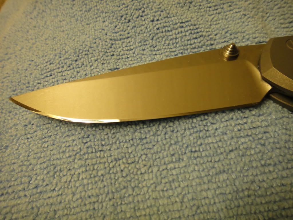 DSC00729.jpg