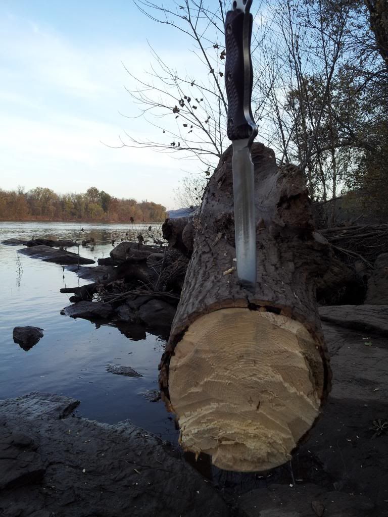 20121111_155259.jpg