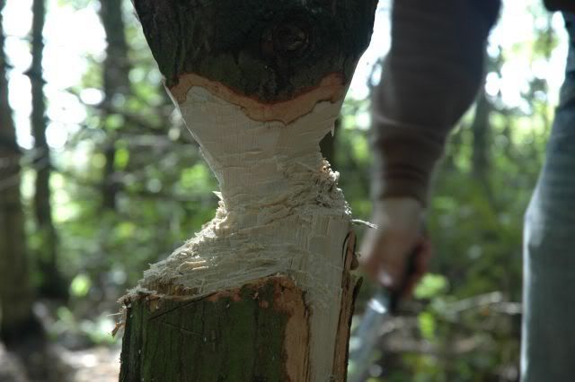 Afbeelding077.jpg