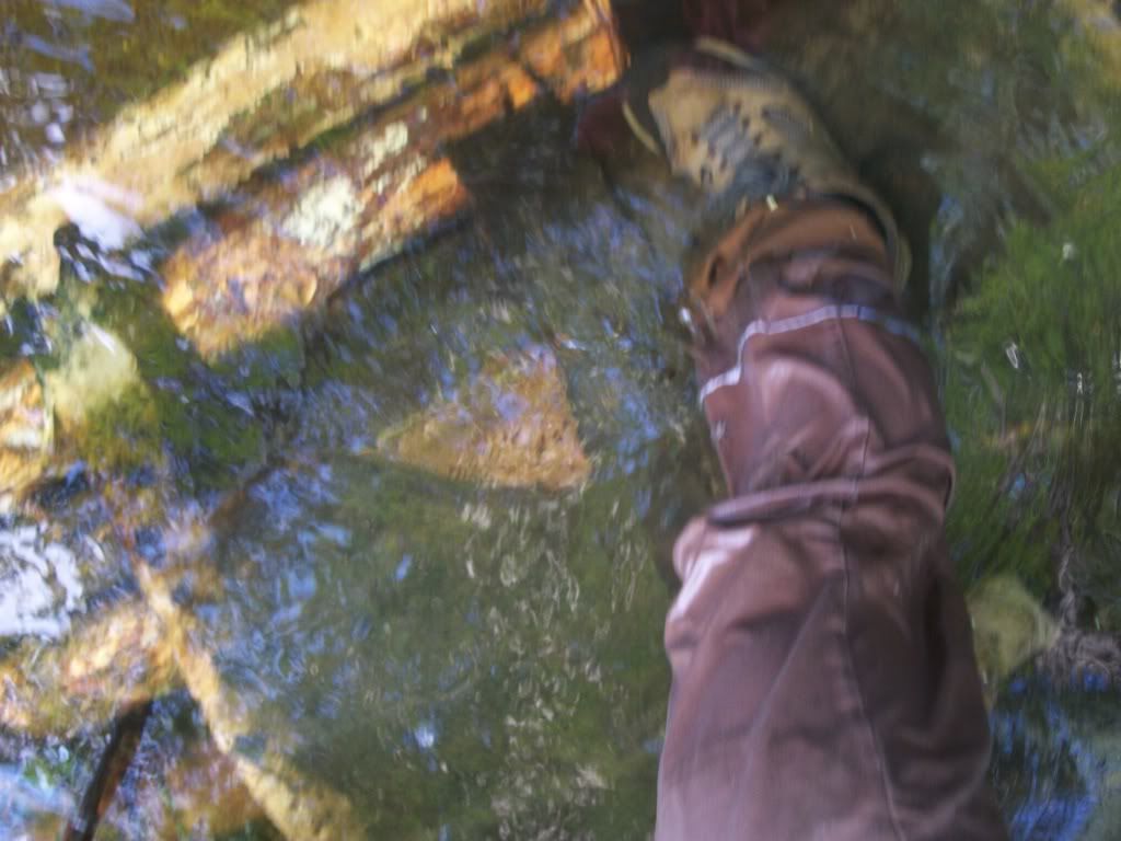 100_0464.jpg