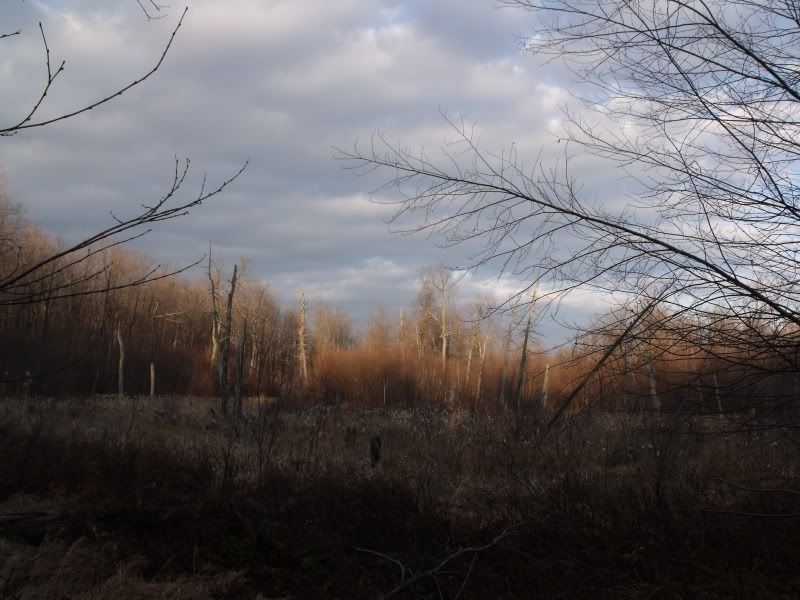 GatineauNovember2032.jpg