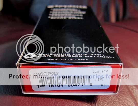 Spydieboblumtanto3.jpg