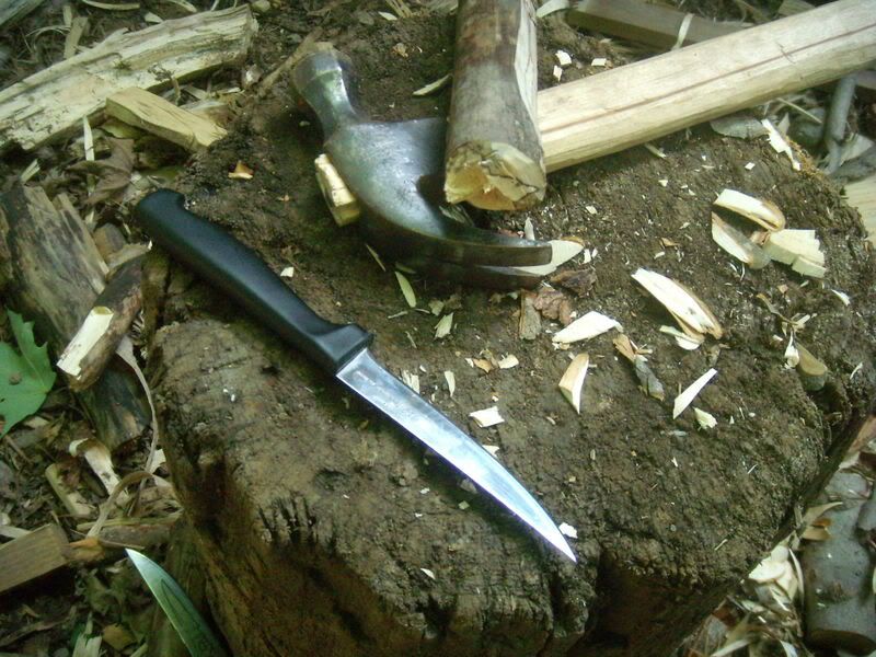 DSCN6450.jpg
