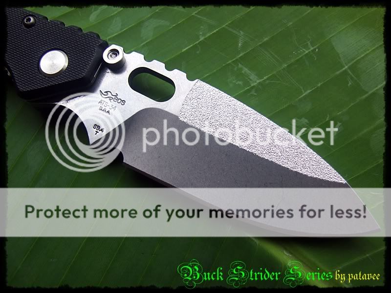 buck005.jpg