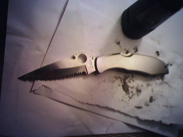 Photo48-1.jpg