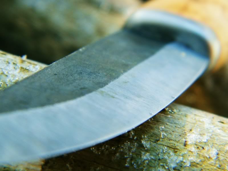 Bushcraft020.jpg