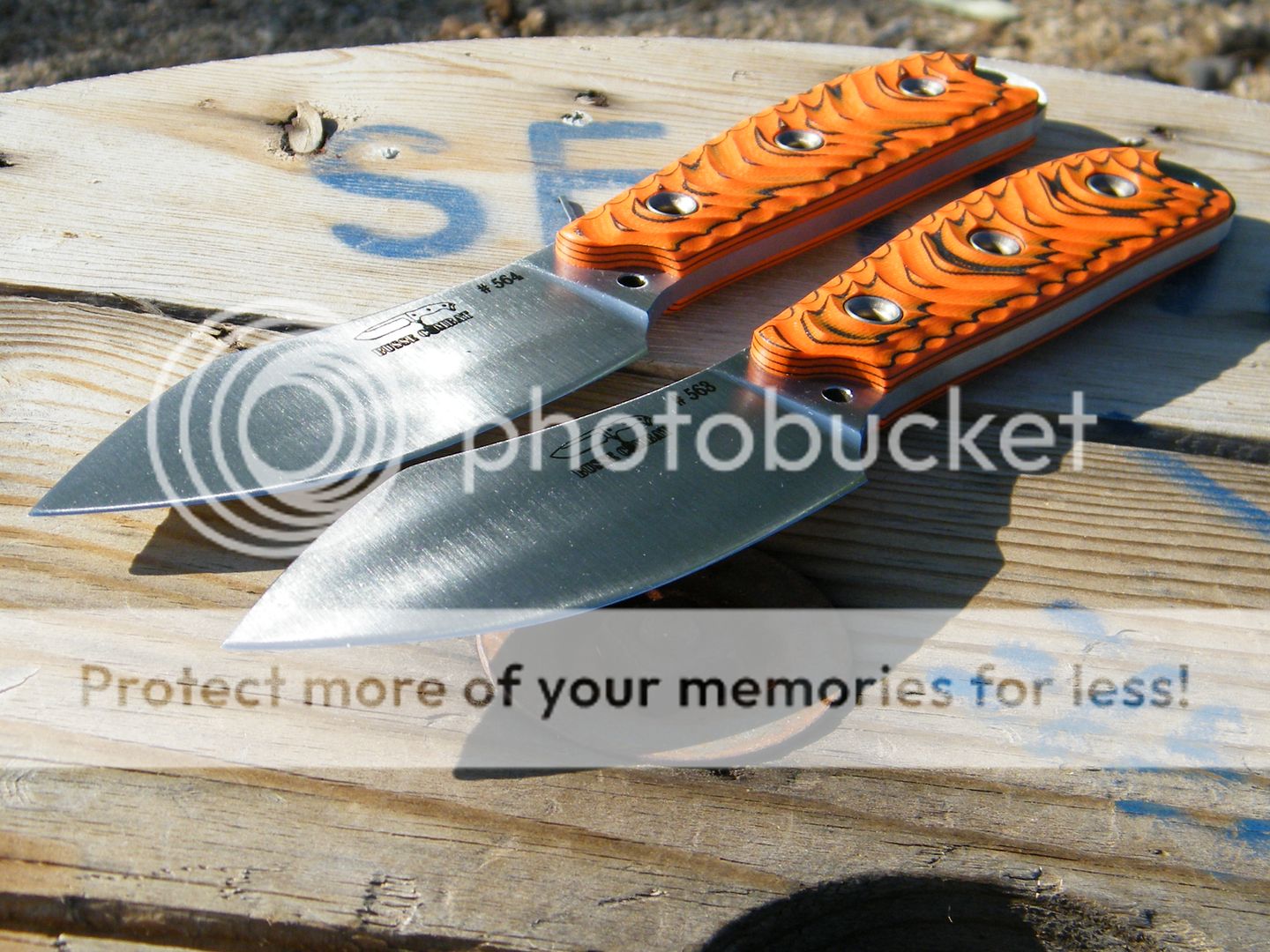 DSCF7261.jpg