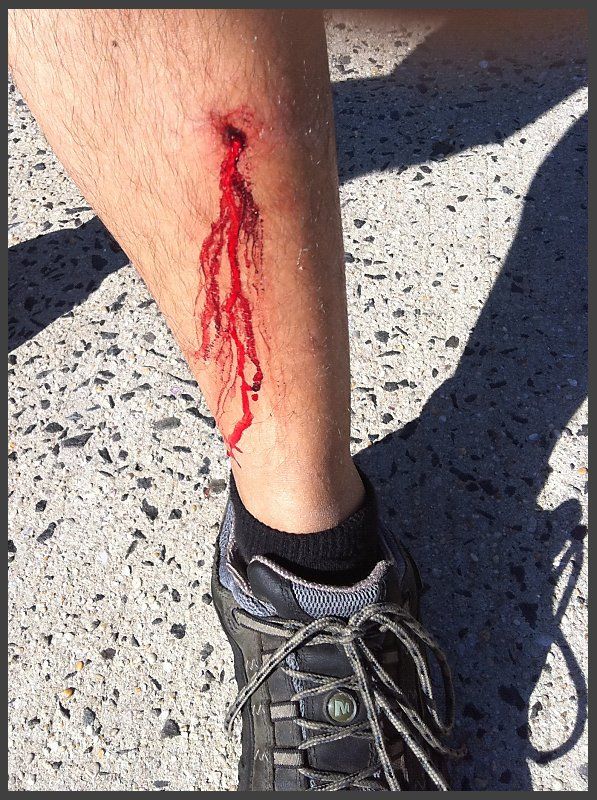 shin_cut-1.jpg