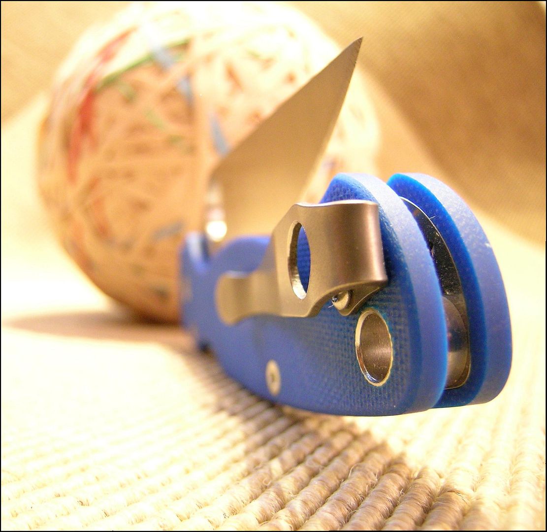 Blue%20Para2_zpsldr9p92c.jpg