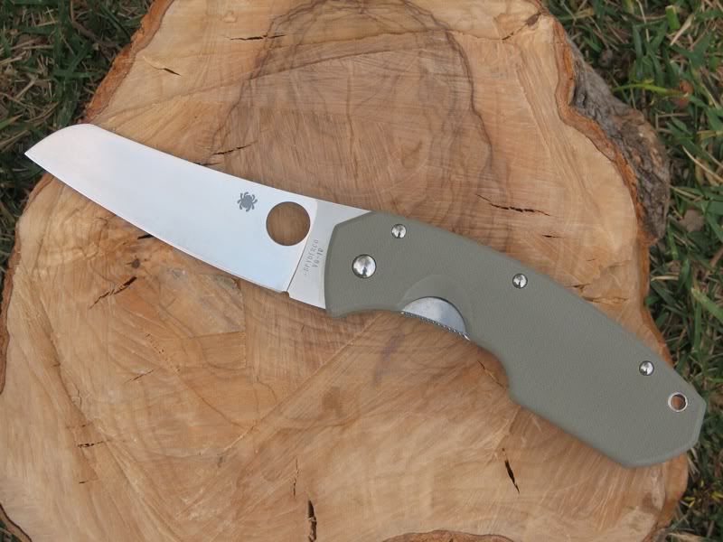 bf43513f.jpg