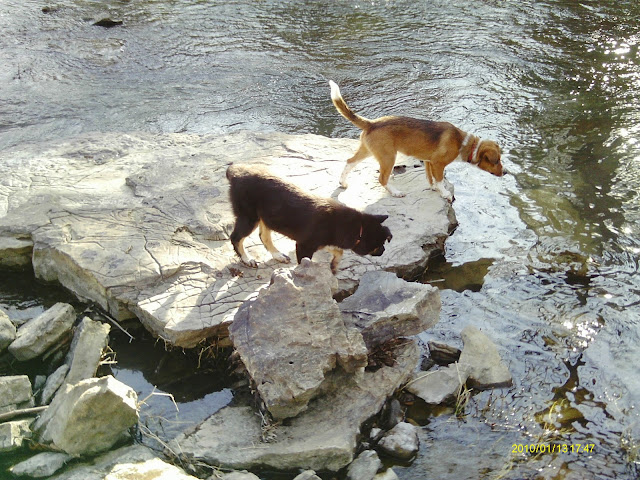 IMAG0089.JPG