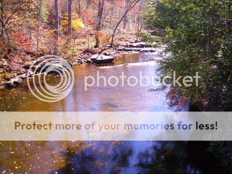 PICT0248.jpg