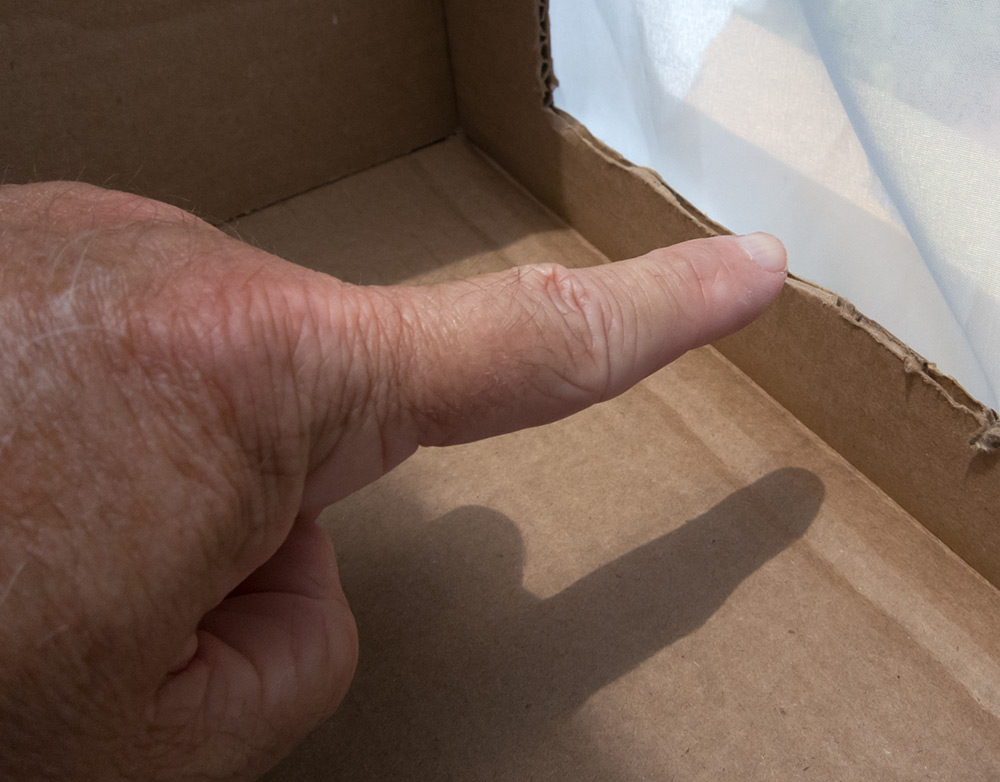 fivedollarlightbox5.jpg