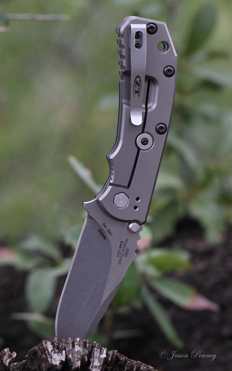 zt1.jpg