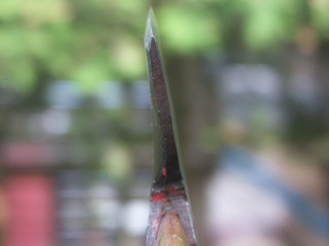 PICT0456.jpg
