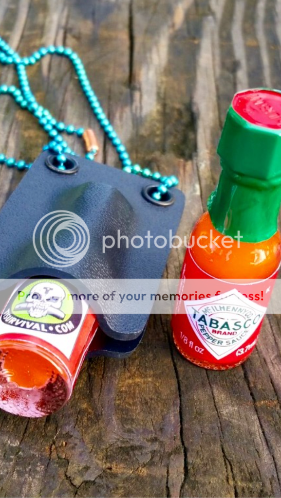 IMG_1205_zpsoaksxc0a.png