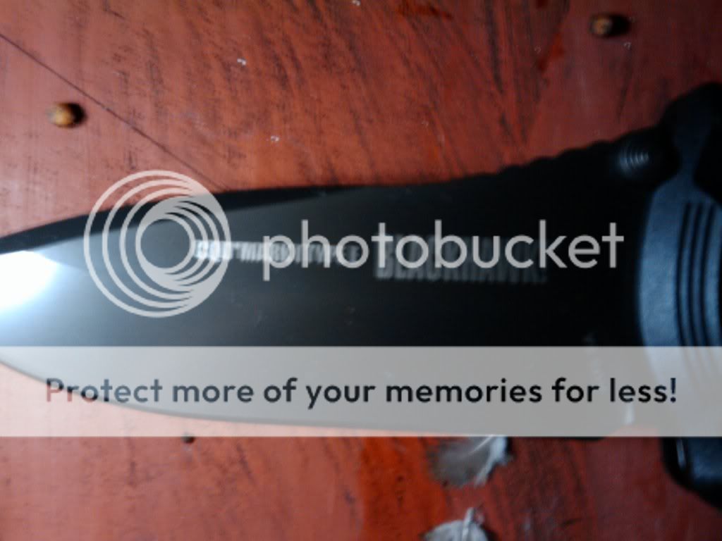 2009-09-19200923.jpg