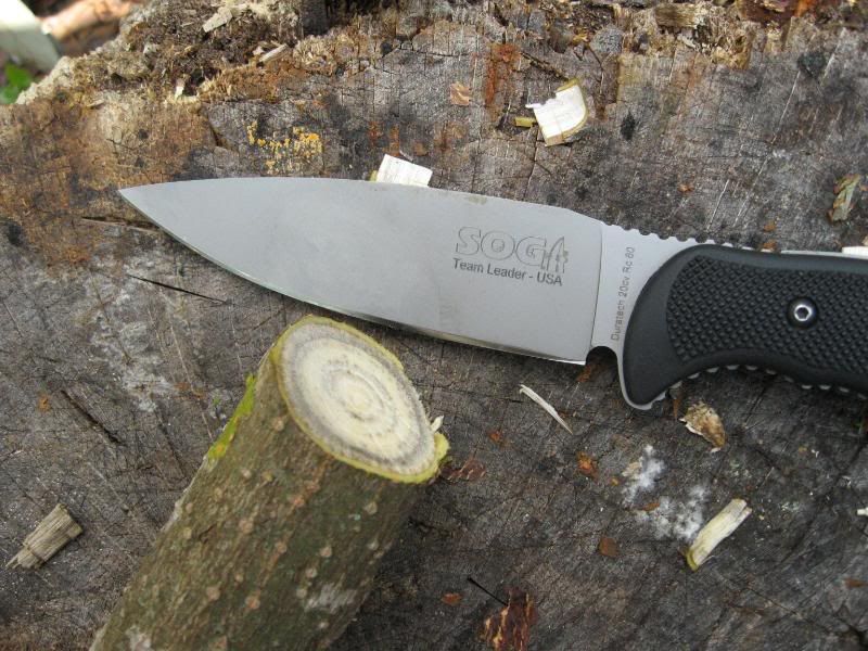 S5MOD016.jpg