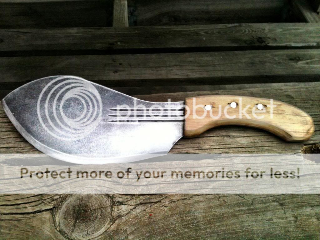 photo1_zpsa226a6ed.jpg