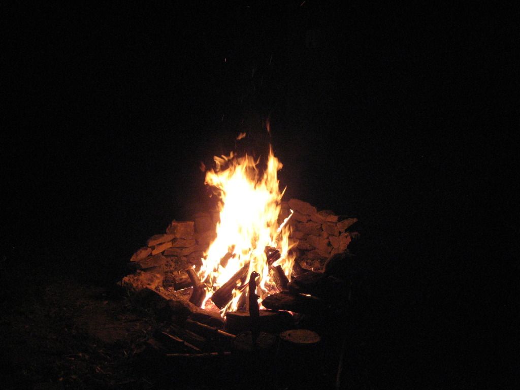 Picture272.jpg