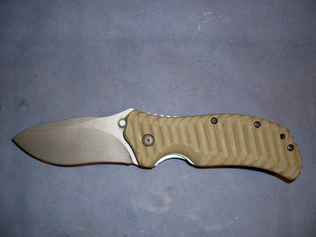 ZT350009.jpg
