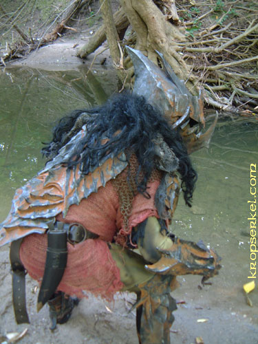 kropmoria5.jpg