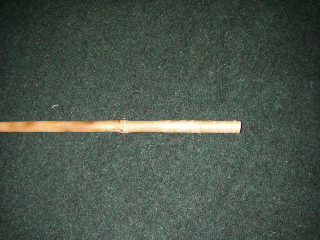 IMGP3449.jpg