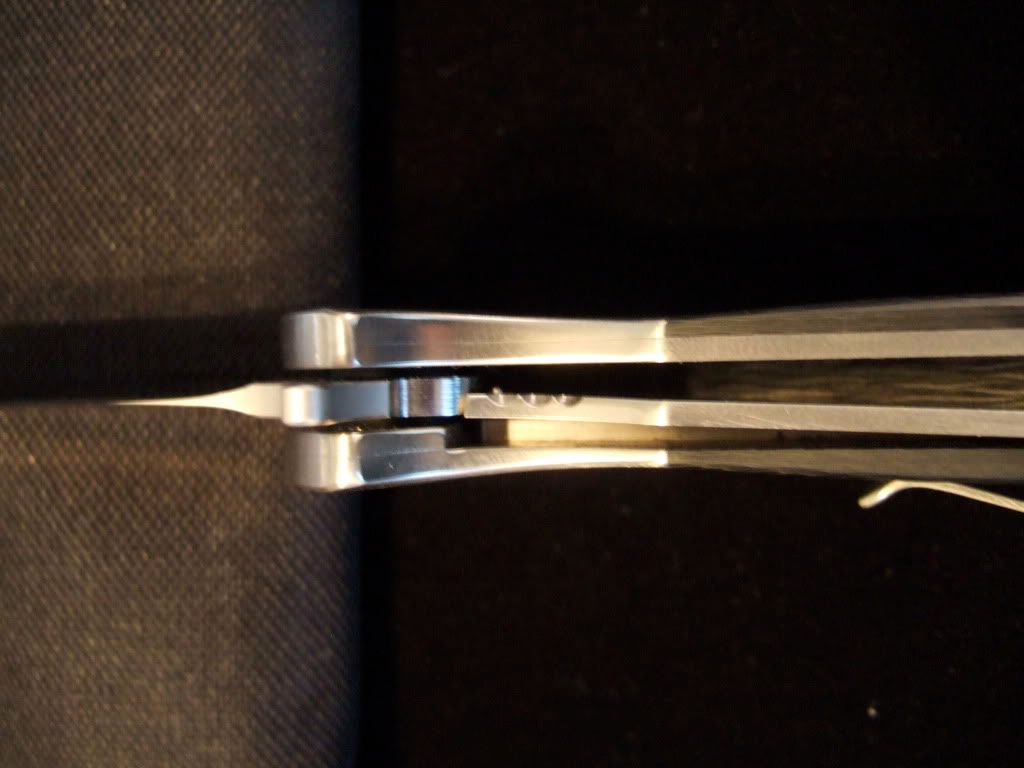 DSCF7464-1.jpg