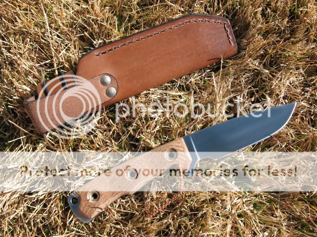 IMG_0256_zps69ddab4d.jpg