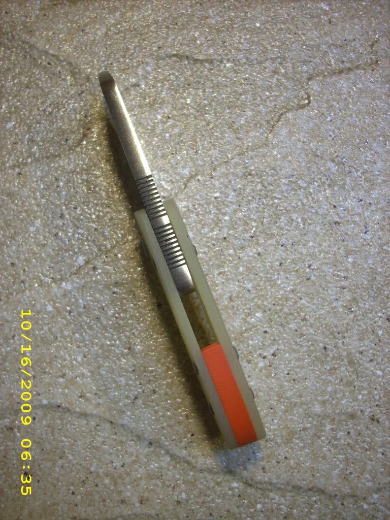 DSCI0910-1.jpg
