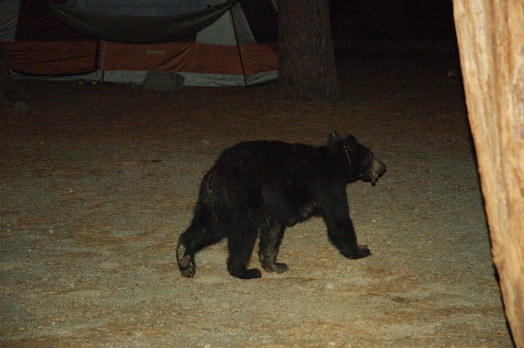 DSC_6870.jpg