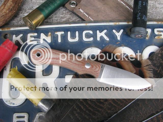 IMG_1635.jpg