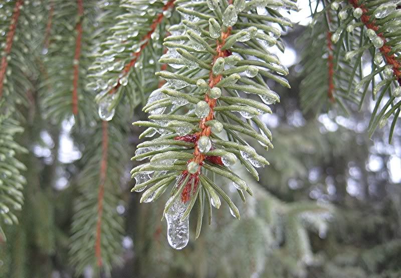 icestorm001.jpg