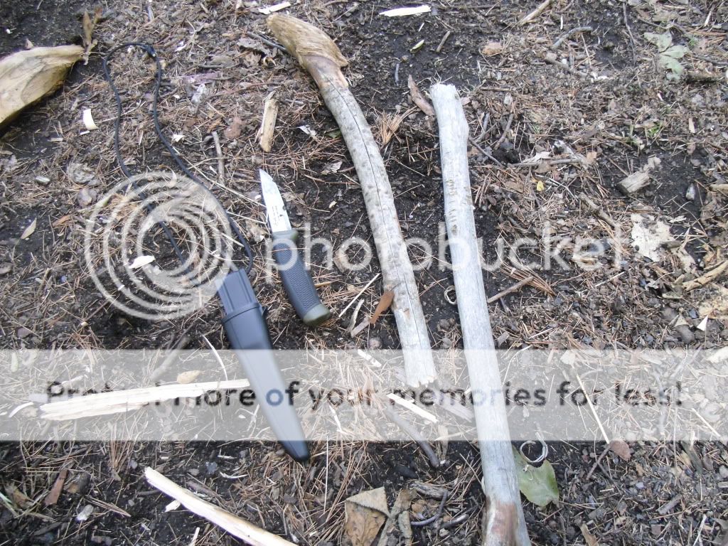 PICT0095.jpg