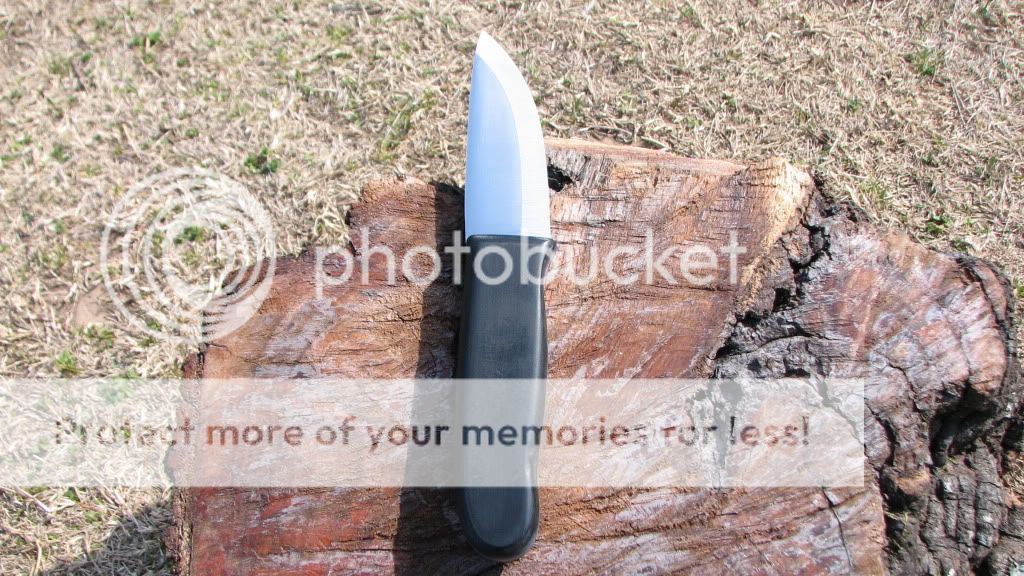 IMG_3190.jpg