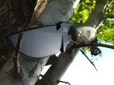 May_ESEE_HEST.jpg