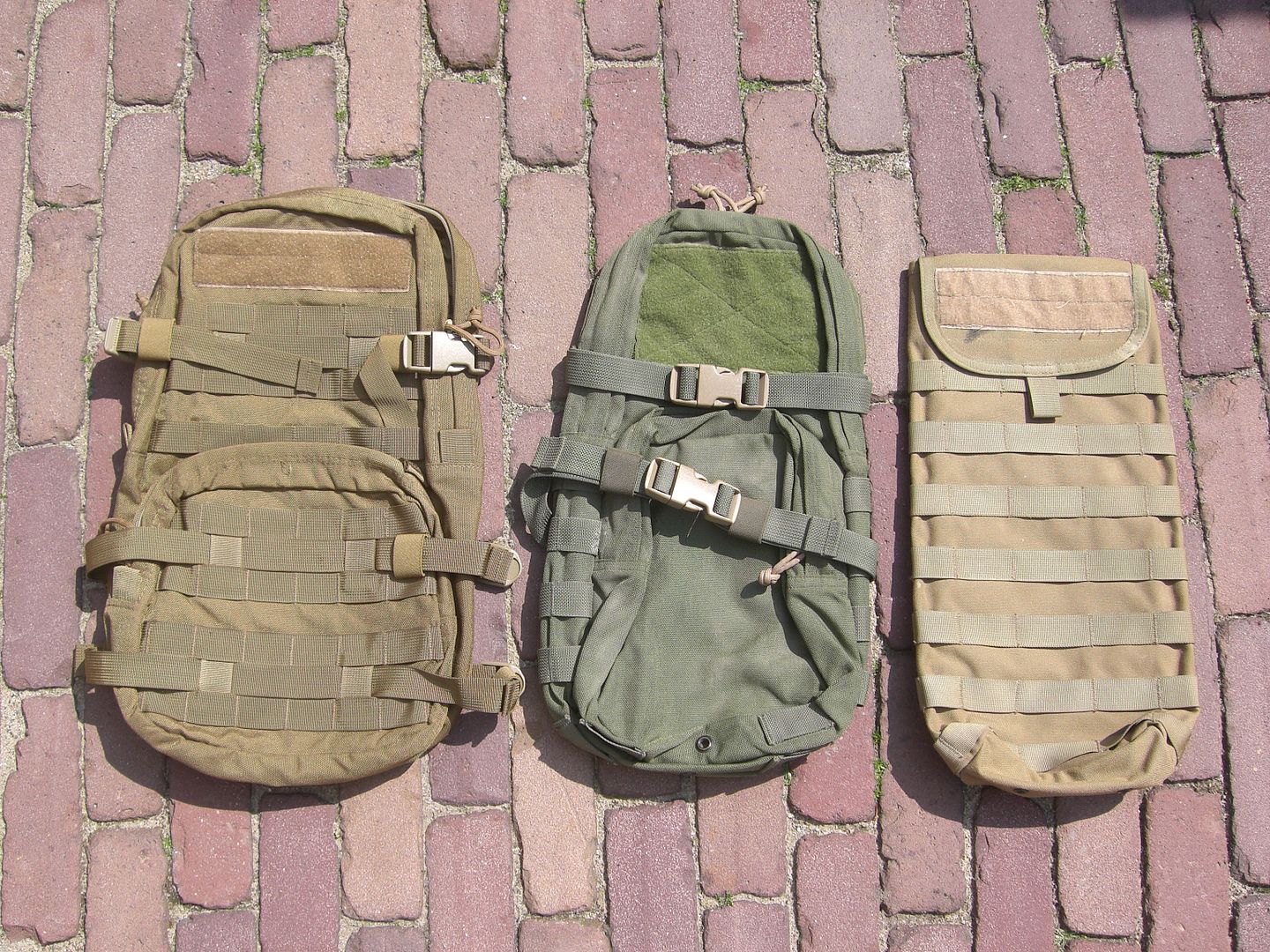 CIMG0449.jpg