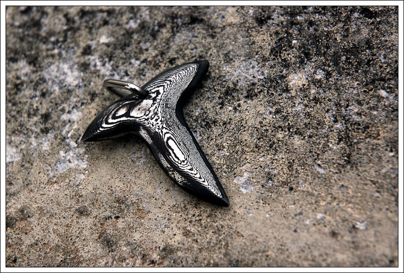 ajsharktooth1.jpg