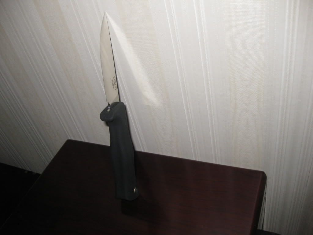 IMG_1447.jpg