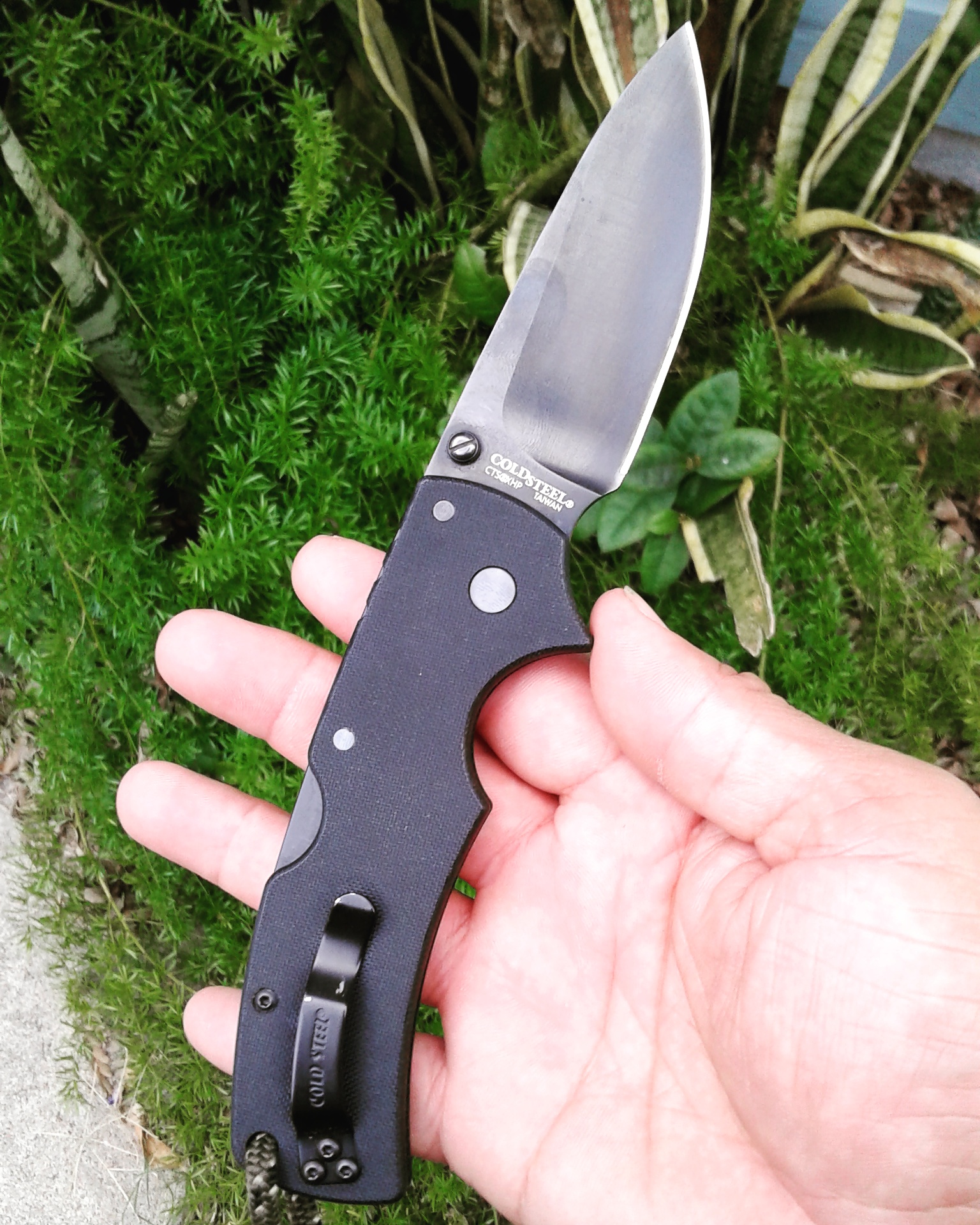 P6DGYB5.jpg