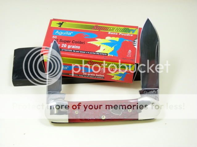 DSCN1746.jpg