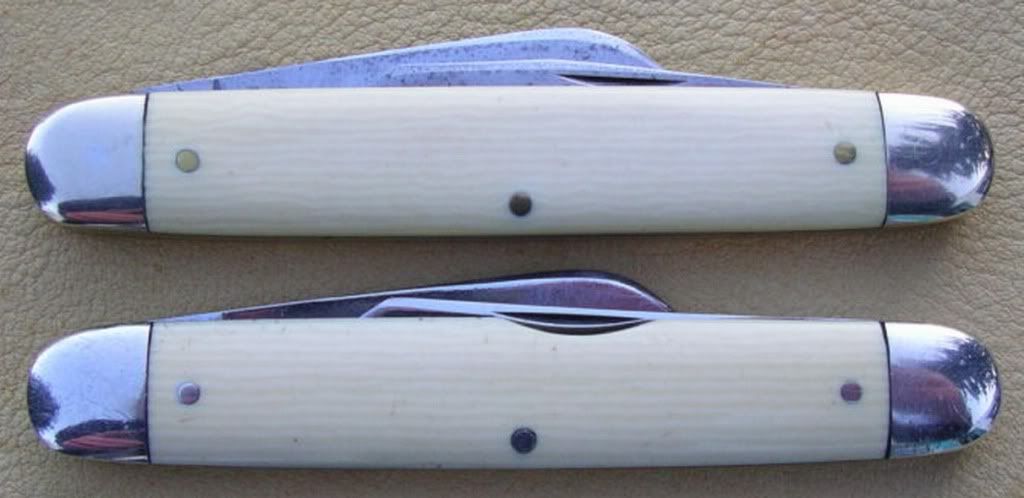 hornetholley014-1.jpg